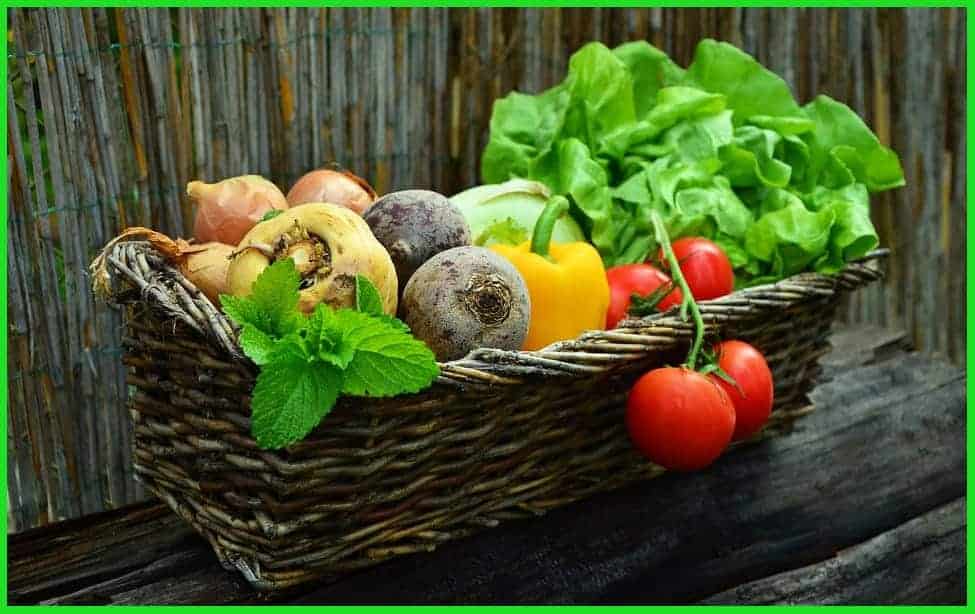 Best Vegetables For Healthy Eating During the Autumn Season
