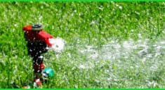 How to Water Your Lawn in Fall and Winter Properly