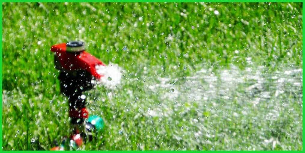 How to Water Your Lawn in Fall and Winter Properly